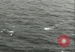 Standbild German Submarine Atlantik, 1947, aus Sekunde 32 historischem Filmmaterial Videoclip 65675059307