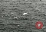 Standbild German Submarine Atlantik, 1947, aus Sekunde 38 historischem Filmmaterial Videoclip 65675059307