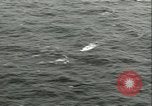 Standbild German Submarine Atlantik, 1947, aus Sekunde 39 historischem Filmmaterial Videoclip 65675059307