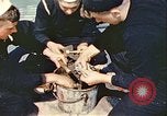 Image of United States convoys in the Atlantic Atlantic Ocean, 1942, second 34 stock footage video 65675059321