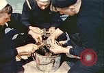 Image of United States convoys in the Atlantic Atlantic Ocean, 1942, second 35 stock footage video 65675059321