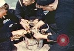 Image of United States convoys in the Atlantic Atlantic Ocean, 1942, second 38 stock footage video 65675059321