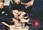 Image of United States convoys in the Atlantic Atlantic Ocean, 1942, second 41 stock footage video 65675059321