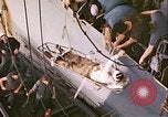 Standbild USS Guadalcanal Atlantik, 1944, aus Sekunde 17 historischem Filmmaterial Videoclip 65675059324