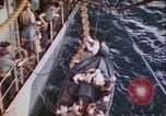 Standbild USS Guadalcanal Atlantik, 1944, aus Sekunde 51 historischem Filmmaterial Videoclip 65675059324