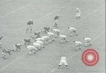 Image of football game Evanston Illinois USA, 1941, second 34 stock footage video 65675059336