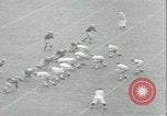 Image of football game Evanston Illinois USA, 1941, second 35 stock footage video 65675059336