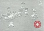 Image of football game Evanston Illinois USA, 1941, second 42 stock footage video 65675059336