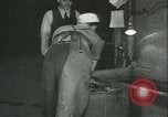 Image des charges de profondeur Canada, 1941, de la seconde 27 séquences d'archives historiques vidéo 65675059337