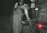 Image des charges de profondeur Canada, 1941, de la seconde 28 séquences d'archives historiques vidéo 65675059337