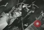 Standbild USS Kearny Atlantik, 1941, aus Sekunde 55 historischem Filmmaterial Videoclip 65675059338