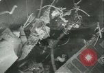 Standbild USS Kearny Atlantik, 1941, aus Sekunde 56 historischem Filmmaterial Videoclip 65675059338