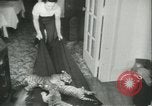 Image of tiger cubs New York United States USA, 1944, second 7 stock footage video 65675059351