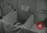 Image of tiger cubs New York United States USA, 1944, second 11 stock footage video 65675059351