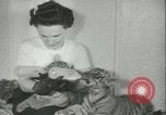 Image of tiger cubs New York United States USA, 1944, second 36 stock footage video 65675059351