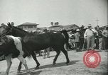 Standbild Auktion von Pferden Los Angeles California USA, 1944, aus Sekunde 20 historischem Filmmaterial Videoclip 65675059353
