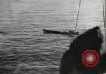Standbild deutsche U-Boot U-Boote U-858 und U-805 Übergabe Atlantik, 1945, aus Sekunde 31 historischem Filmmaterial Videoclip 65675059356