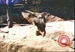 Standbild beschädigt Tiergarten Berlin Deutschland, 1945, aus Sekunde 12 historischem Filmmaterial Videoclip 65675059364