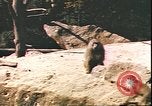 Standbild beschädigt Tiergarten Berlin Deutschland, 1945, aus Sekunde 13 historischem Filmmaterial Videoclip 65675059364