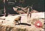 Standbild beschädigt Tiergarten Berlin Deutschland, 1945, aus Sekunde 15 historischem Filmmaterial Videoclip 65675059364