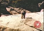 Standbild beschädigt Tiergarten Berlin Deutschland, 1945, aus Sekunde 17 historischem Filmmaterial Videoclip 65675059364