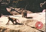 Standbild beschädigt Tiergarten Berlin Deutschland, 1945, aus Sekunde 19 historischem Filmmaterial Videoclip 65675059364