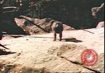 Standbild beschädigt Tiergarten Berlin Deutschland, 1945, aus Sekunde 20 historischem Filmmaterial Videoclip 65675059364