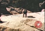 Standbild beschädigt Tiergarten Berlin Deutschland, 1945, aus Sekunde 21 historischem Filmmaterial Videoclip 65675059364