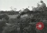 Image of Allied paratroopers France, 1944, second 1 stock footage video 65675059372
