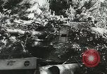 Image of Allied paratroopers France, 1944, second 13 stock footage video 65675059372
