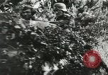 Image of Allied paratroopers France, 1944, second 14 stock footage video 65675059372