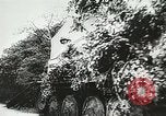 Image of Allied paratroopers France, 1944, second 17 stock footage video 65675059372