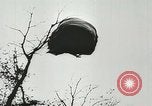 Image of Allied paratroopers France, 1944, second 21 stock footage video 65675059372