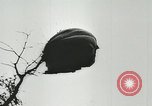 Image of Allied paratroopers France, 1944, second 22 stock footage video 65675059372