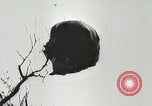 Image of Allied paratroopers France, 1944, second 23 stock footage video 65675059372