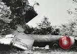 Image of Allied paratroopers France, 1944, second 25 stock footage video 65675059372