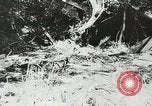 Image of Allied paratroopers France, 1944, second 33 stock footage video 65675059372