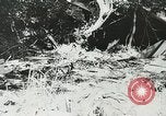 Image of Allied paratroopers France, 1944, second 34 stock footage video 65675059372