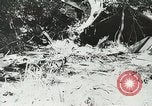 Image of Allied paratroopers France, 1944, second 35 stock footage video 65675059372