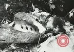 Image of Allied paratroopers France, 1944, second 37 stock footage video 65675059372