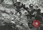 Image of Allied paratroopers France, 1944, second 42 stock footage video 65675059372