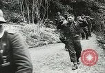 Image of Allied paratroopers France, 1944, second 43 stock footage video 65675059372