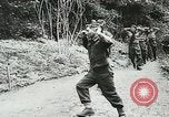 Image of Allied paratroopers France, 1944, second 44 stock footage video 65675059372