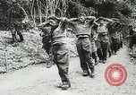 Image of Allied paratroopers France, 1944, second 49 stock footage video 65675059372