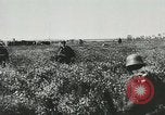 Image of German forces battle invading Allied forces Normandy France, 1944, second 12 stock footage video 65675059374