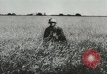 Image of German forces battle invading Allied forces Normandy France, 1944, second 14 stock footage video 65675059374