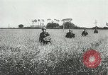 Image of German forces battle invading Allied forces Normandy France, 1944, second 16 stock footage video 65675059374