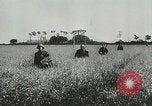 Image of German forces battle invading Allied forces Normandy France, 1944, second 17 stock footage video 65675059374