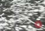 Image of American prisoners France, 1944, second 15 stock footage video 65675059377