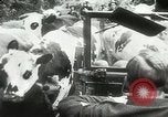 Image of American prisoners France, 1944, second 19 stock footage video 65675059377